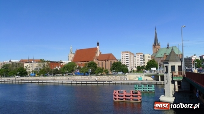 Zdjęcie w galerii na portalu naszraciborz.pl: Kamil Mucha zwycięzcą ogólnopolskiego konkursu transplantologicznego w Szczecinie  wiadomości z regionu