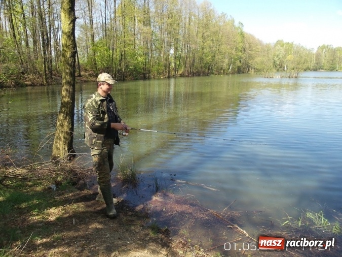 Zdjęcie w galerii na portalu naszraciborz.pl: Moc wydarzeń wędkarskich. Na Babiczoku nie ma nudy  wiadomości z regionu