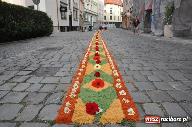 Zdjęcie w galerii na portalu naszraciborz.pl: Racibórz od świtu stroi się na Boże Ciało  wiadomości z regionu