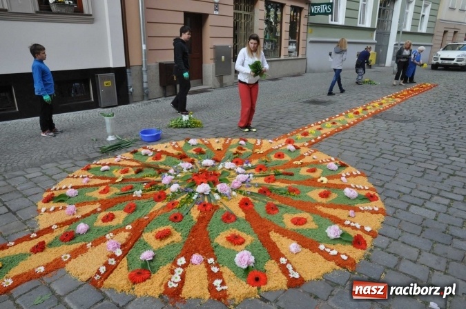 Zdjęcie w galerii na portalu naszraciborz.pl: Racibórz od świtu stroi się na Boże Ciało  wiadomości z regionu