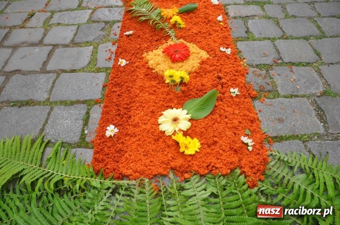 Zdjęcie w galerii na portalu naszraciborz.pl: Racibórz od świtu stroi się na Boże Ciało  wiadomości z regionu