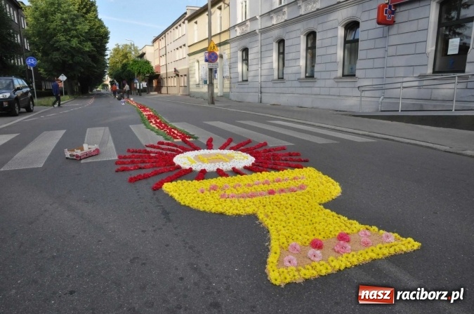 Zdjęcie w galerii na portalu naszraciborz.pl: Racibórz od świtu stroi się na Boże Ciało  wiadomości z regionu