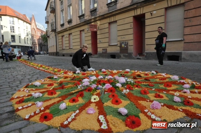 Zdjęcie w galerii na portalu naszraciborz.pl: Racibórz od świtu stroi się na Boże Ciało  wiadomości z regionu