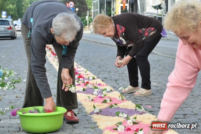 Zdjęcie w galerii na portalu naszraciborz.pl: Racibórz od świtu stroi się na Boże Ciało  wiadomości z regionu