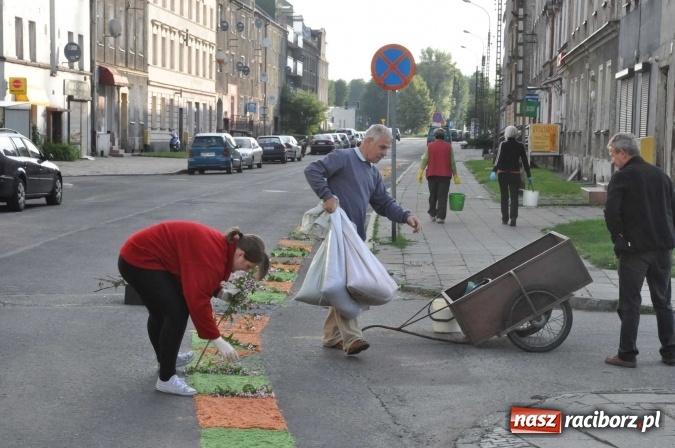 Zdjęcie w galerii na portalu naszraciborz.pl: Racibórz od świtu stroi się na Boże Ciało  wiadomości z regionu