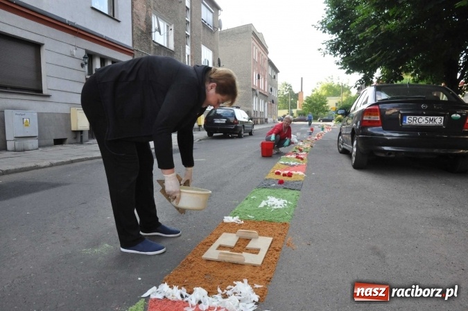 Zdjęcie w galerii na portalu naszraciborz.pl: Racibórz od świtu stroi się na Boże Ciało  wiadomości z regionu