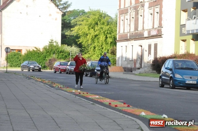 Zdjęcie w galerii na portalu naszraciborz.pl: Racibórz od świtu stroi się na Boże Ciało  wiadomości z regionu