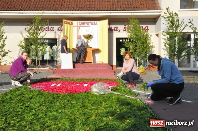 Zdjęcie w galerii na portalu naszraciborz.pl: Racibórz od świtu stroi się na Boże Ciało  wiadomości z regionu