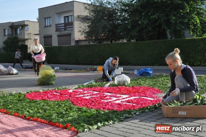 Zdjęcie w galerii na portalu naszraciborz.pl: Racibórz od świtu stroi się na Boże Ciało  wiadomości z regionu