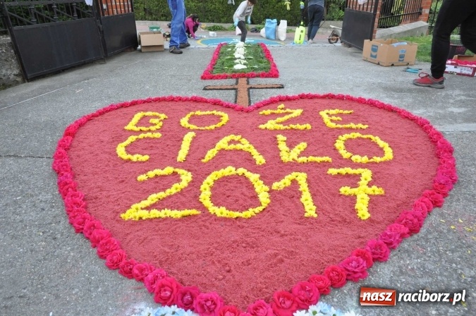 Zdjęcie w galerii na portalu naszraciborz.pl: Racibórz od świtu stroi się na Boże Ciało  wiadomości z regionu