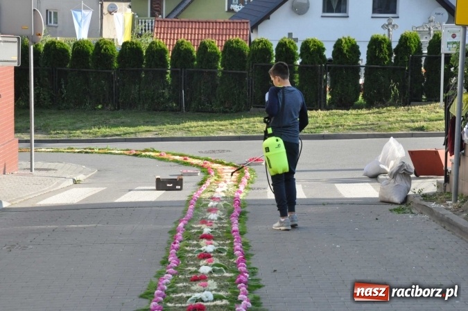 Zdjęcie w galerii na portalu naszraciborz.pl: Racibórz od świtu stroi się na Boże Ciało  wiadomości z regionu