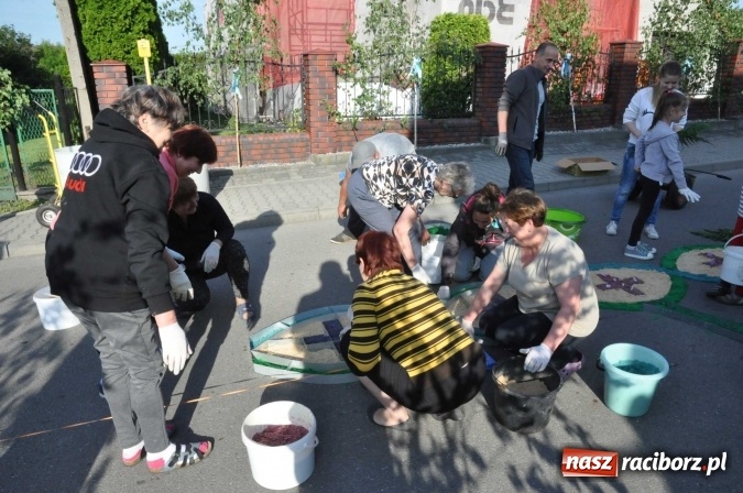 Zdjęcie w galerii na portalu naszraciborz.pl: Racibórz od świtu stroi się na Boże Ciało  wiadomości z regionu