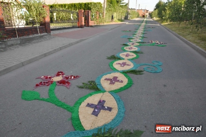 Zdjęcie w galerii na portalu naszraciborz.pl: Racibórz od świtu stroi się na Boże Ciało  wiadomości z regionu