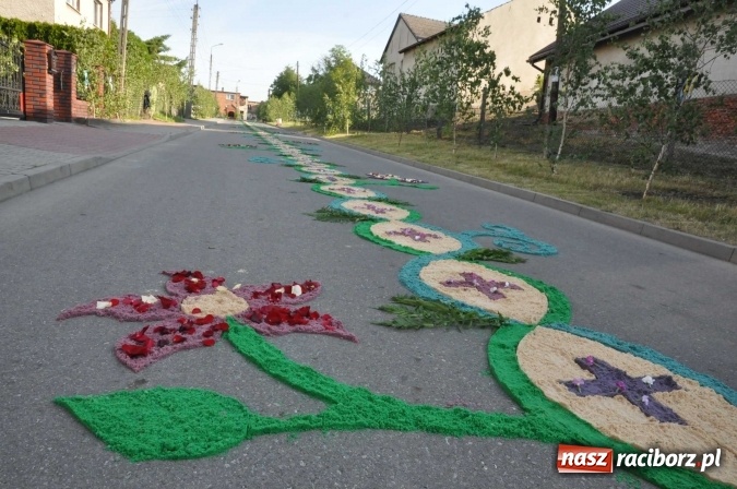 Zdjęcie w galerii na portalu naszraciborz.pl: Racibórz od świtu stroi się na Boże Ciało  wiadomości z regionu