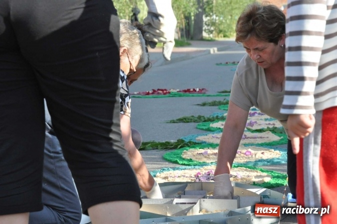 Zdjęcie w galerii na portalu naszraciborz.pl: Racibórz od świtu stroi się na Boże Ciało  wiadomości z regionu