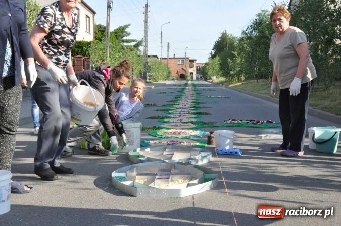 Zdjęcie w galerii na portalu naszraciborz.pl: Racibórz od świtu stroi się na Boże Ciało  wiadomości z regionu