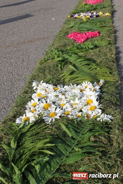 Zdjęcie w galerii na portalu naszraciborz.pl: Kwietne dywany w Wojnowicach  wiadomości z regionu
