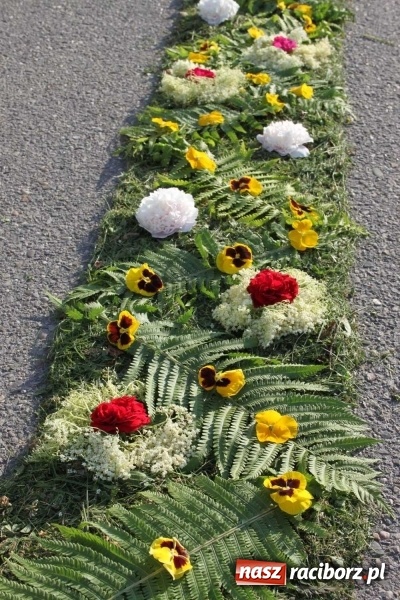 Zdjęcie w galerii na portalu naszraciborz.pl: Kwietne dywany w Wojnowicach  wiadomości z regionu