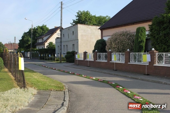 Zdjęcie w galerii na portalu naszraciborz.pl: Kwietne dywany w Wojnowicach  wiadomości z regionu