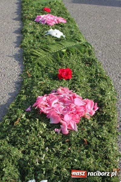 Zdjęcie w galerii na portalu naszraciborz.pl: Kwietne dywany w Wojnowicach  wiadomości z regionu