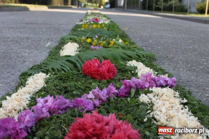 Zdjęcie w galerii na portalu naszraciborz.pl: Kwietne dywany w Wojnowicach  wiadomości z regionu