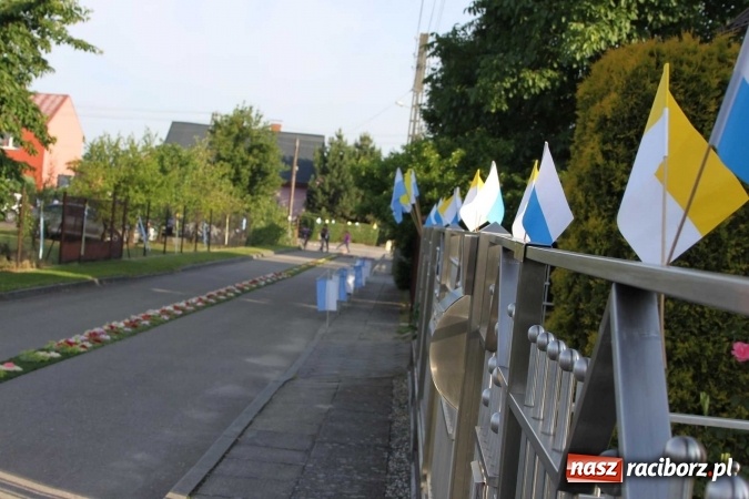 Zdjęcie w galerii na portalu naszraciborz.pl: Kwietne dywany w Wojnowicach  wiadomości z regionu