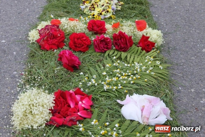 Zdjęcie w galerii na portalu naszraciborz.pl: Kwietne dywany w Wojnowicach  wiadomości z regionu