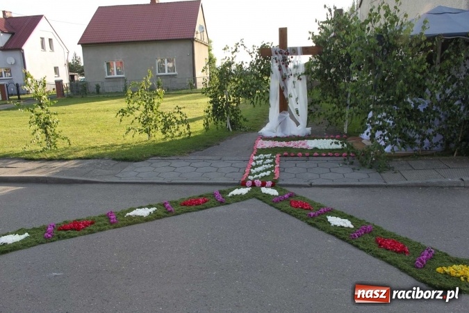 Zdjęcie w galerii na portalu naszraciborz.pl: Kwietne dywany w Wojnowicach  wiadomości z regionu