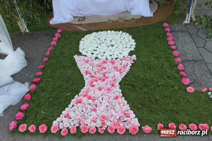 Zdjęcie w galerii na portalu naszraciborz.pl: Kwietne dywany w Wojnowicach  wiadomości z regionu