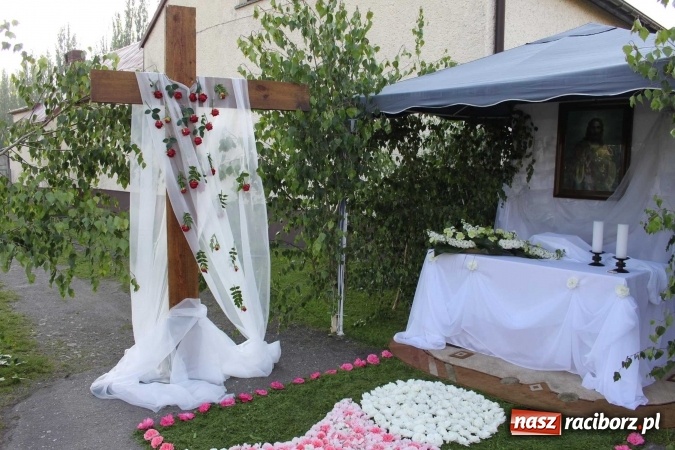 Zdjęcie w galerii na portalu naszraciborz.pl: Kwietne dywany w Wojnowicach  wiadomości z regionu