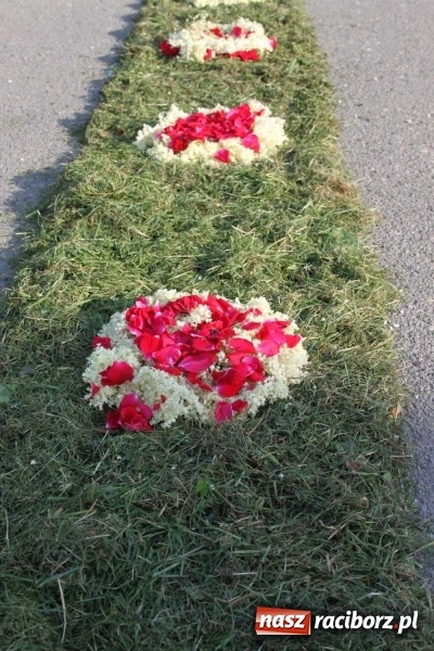 Zdjęcie w galerii na portalu naszraciborz.pl: Kwietne dywany w Wojnowicach  wiadomości z regionu