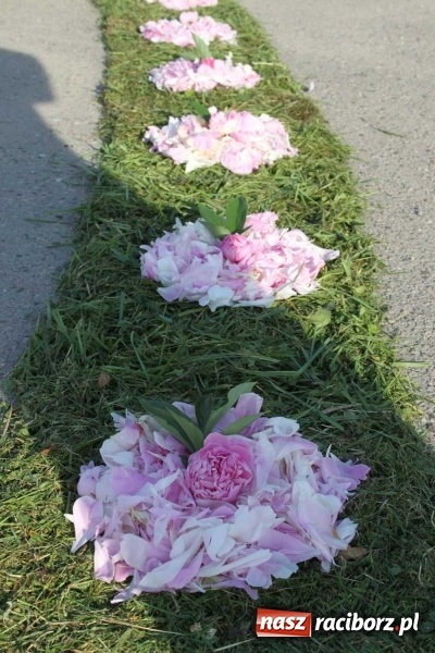 Zdjęcie w galerii na portalu naszraciborz.pl: Kwietne dywany w Wojnowicach  wiadomości z regionu