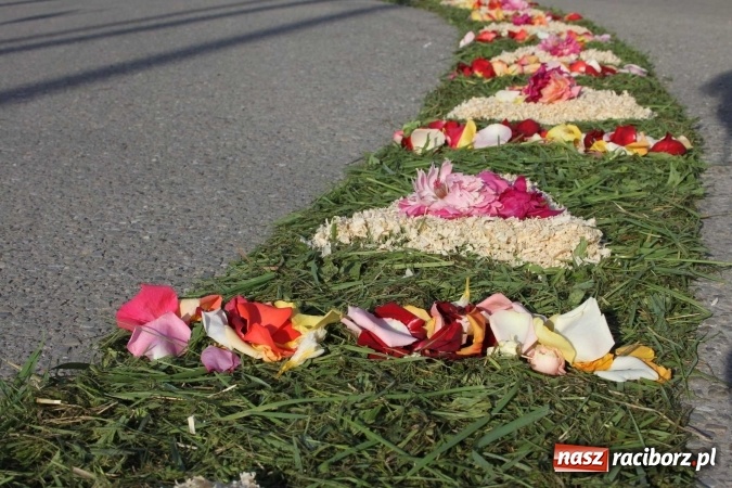 Zdjęcie w galerii na portalu naszraciborz.pl: Kwietne dywany w Wojnowicach  wiadomości z regionu