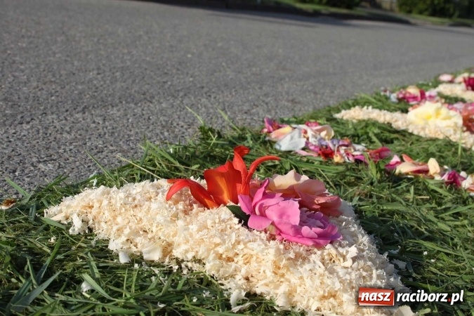 Zdjęcie w galerii na portalu naszraciborz.pl: Kwietne dywany w Wojnowicach  wiadomości z regionu