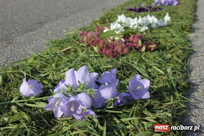 Zdjęcie w galerii na portalu naszraciborz.pl: Kwietne dywany w Wojnowicach  wiadomości z regionu