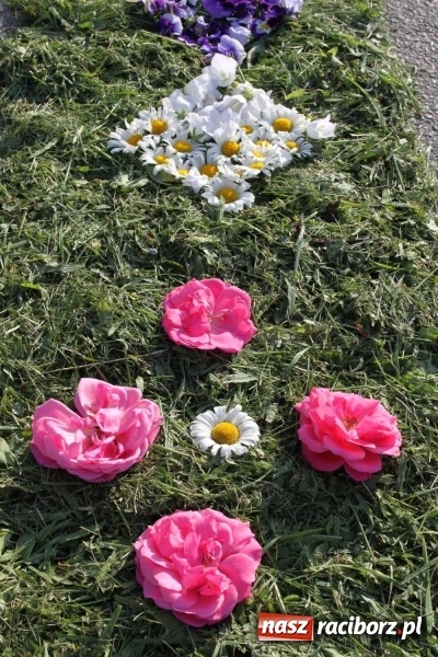 Zdjęcie w galerii na portalu naszraciborz.pl: Kwietne dywany w Wojnowicach  wiadomości z regionu