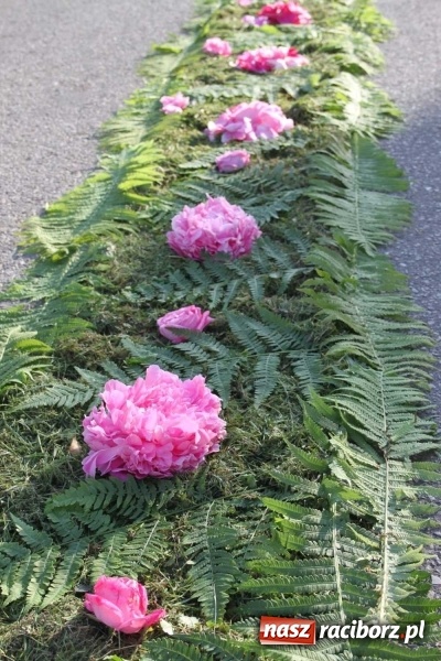 Zdjęcie w galerii na portalu naszraciborz.pl: Kwietne dywany w Wojnowicach  wiadomości z regionu