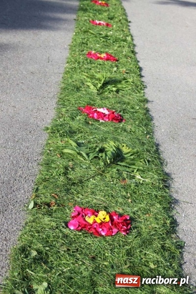 Zdjęcie w galerii na portalu naszraciborz.pl: Kwietne dywany w Wojnowicach  wiadomości z regionu