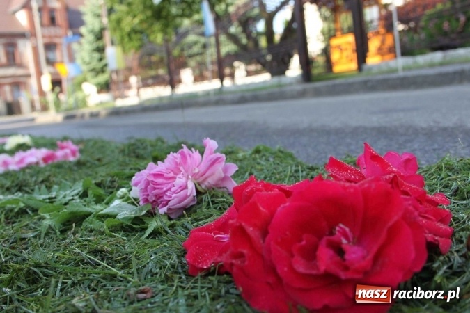 Zdjęcie w galerii na portalu naszraciborz.pl: Kwietne dywany w Wojnowicach  wiadomości z regionu