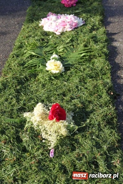 Zdjęcie w galerii na portalu naszraciborz.pl: Kwietne dywany w Wojnowicach  wiadomości z regionu