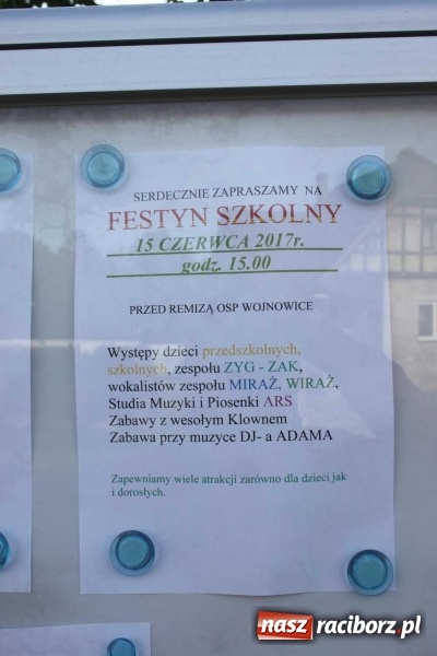 Zdjęcie w galerii na portalu naszraciborz.pl: Kwietne dywany w Wojnowicach  wiadomości z regionu