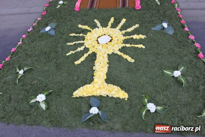 Zdjęcie w galerii na portalu naszraciborz.pl: Kwietne dywany w Wojnowicach  wiadomości z regionu