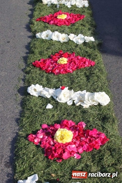 Zdjęcie w galerii na portalu naszraciborz.pl: Kwietne dywany w Wojnowicach  wiadomości z regionu