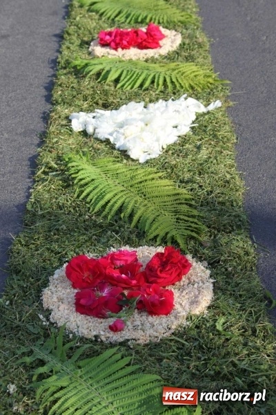 Zdjęcie w galerii na portalu naszraciborz.pl: Kwietne dywany w Wojnowicach  wiadomości z regionu