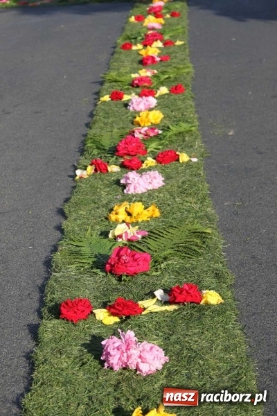 Zdjęcie w galerii na portalu naszraciborz.pl: Kwietne dywany w Wojnowicach  wiadomości z regionu