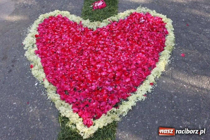 Zdjęcie w galerii na portalu naszraciborz.pl: Kwietne dywany w Wojnowicach  wiadomości z regionu