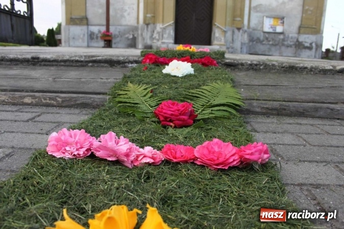 Zdjęcie w galerii na portalu naszraciborz.pl: Kwietne dywany w Wojnowicach  wiadomości z regionu