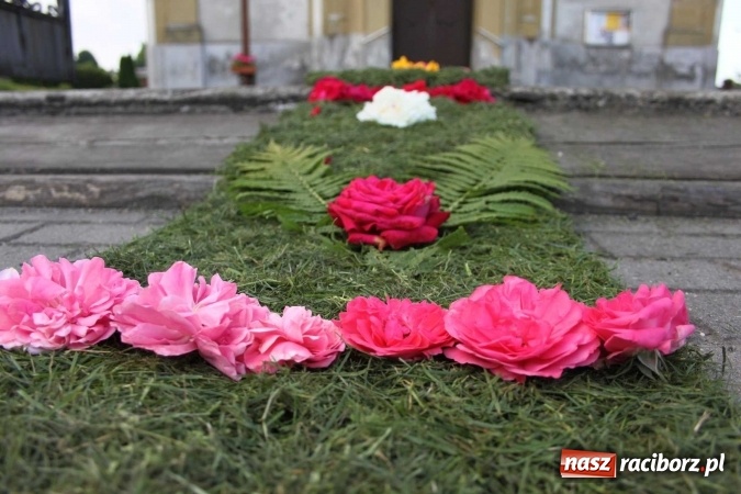 Zdjęcie w galerii na portalu naszraciborz.pl: Kwietne dywany w Wojnowicach  wiadomości z regionu