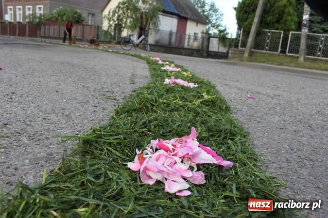 Zdjęcie w galerii na portalu naszraciborz.pl: Kwietne dywany w Wojnowicach  wiadomości z regionu
