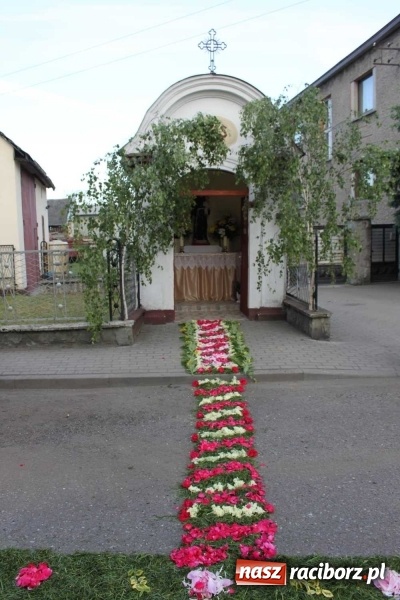 Zdjęcie w galerii na portalu naszraciborz.pl: Kwietne dywany w Wojnowicach  wiadomości z regionu